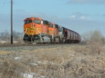BNSF 7708 surrounded by cat tails